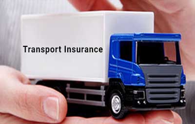 Transport Insurance Services